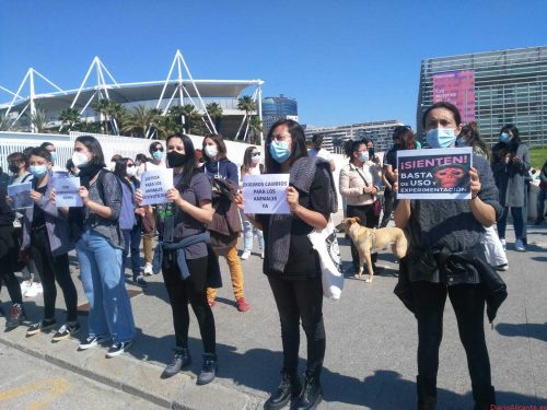 Protestas por el caso de maltrato animal de vivotecnia