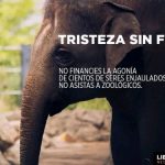 El Bioparc y todos los zoos son cárceles de inocentes