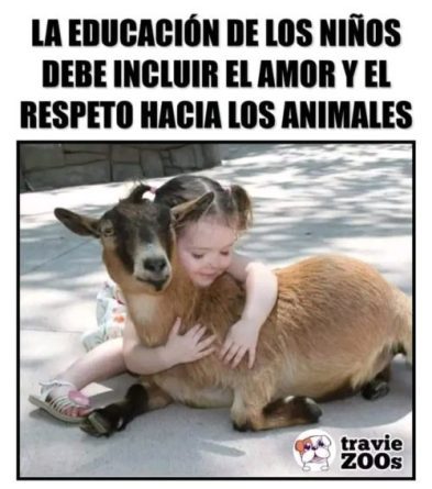 RESPONSABILIDAD EN EL RESPETO A TODOS LOS ANIMALES