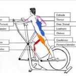 ¿qué músculos trabaja la bicicleta elíptica?