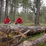 El proyecto europeo Life Token CO₂ pretende valorizar la gestión forestal para frenar el cambio climático