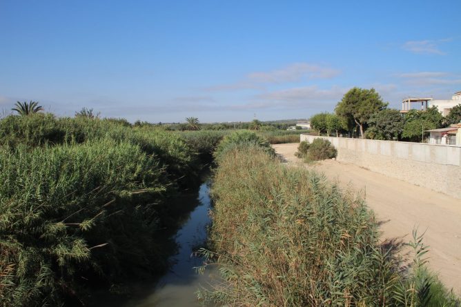 La Dirección General del Agua del MITECO adjudica el contrato de estudio integral del estado de conservación y niveles de seguridad del encauzamiento del río Segura