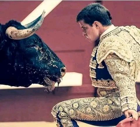 Los taurinos en Valencia no saben explicar su “cultura” de sangre y muerte
