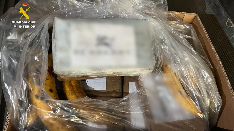 Detenidos por intentar introducir más de 6,5 toneladas de cocaína en contenedores de bananas por el puerto de Algeciras desde Sudamérica