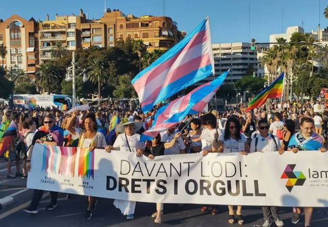 El colectivo LGTB llena Valencia por sus derechos