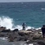 Un jabalí hiere a dos personas en una playa de Alicante y La Guardia Civil Interviene matando al Jabalí a tiros