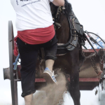 PACMA denuncia rodillazos y abusos a los caballos durante el Tiro y Arrastre de Albal