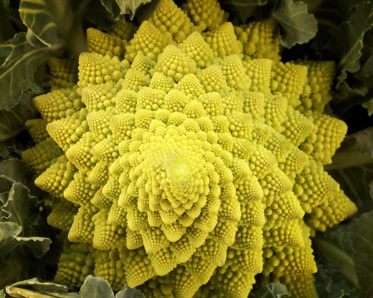 Romanescu