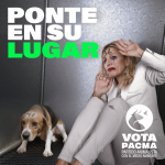 Yolanda Díaz y Feijóo: nuevos protagonistas de la polémica campaña electoral de PACMA