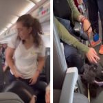 Expulsan a una pasajera de un avión por no usar bozal en su perro