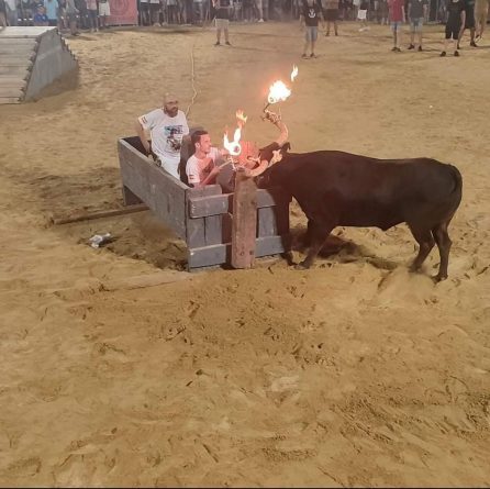 El PSOE de Mislata vuelve a permitir la tortura animal