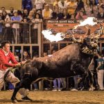 Verger deja de autorizar el toro embolado, pero debe hacer lo mismo con todo festejo