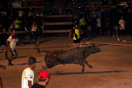 Una Localidad de Alicante prohíbe los toros embolados por discrepancias con sus 