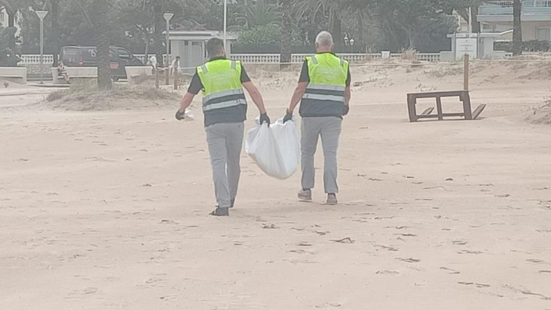 Hallan Restos Humanos en la Playa de Gandia: Cadera y Pierna Descubiertas