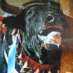 Sollozos de angustia de un toro en Benaguacil