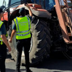 Intervenidas en Sevilla más de 91 toneladas de aceitunas y 400 litros de aceite con etiquetado falso