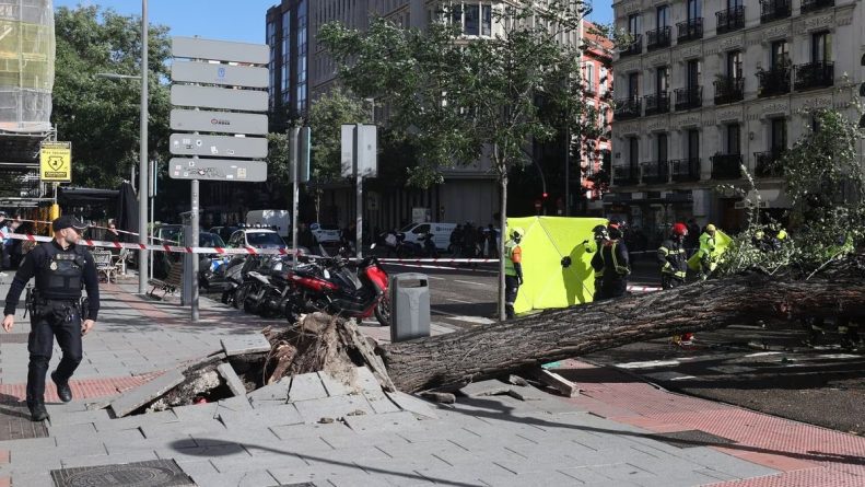 Fallece una joven de 23 años a consecuencia del derrumbe de un árbol en Madrid