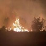 Incendio Devastador cerca de la EUIPO en Alicante Ha Sido Sofocado Tras Intensa Noche de Lucha Contra las Llamas