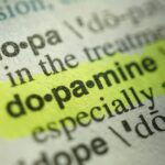 Ayuno de dopamina