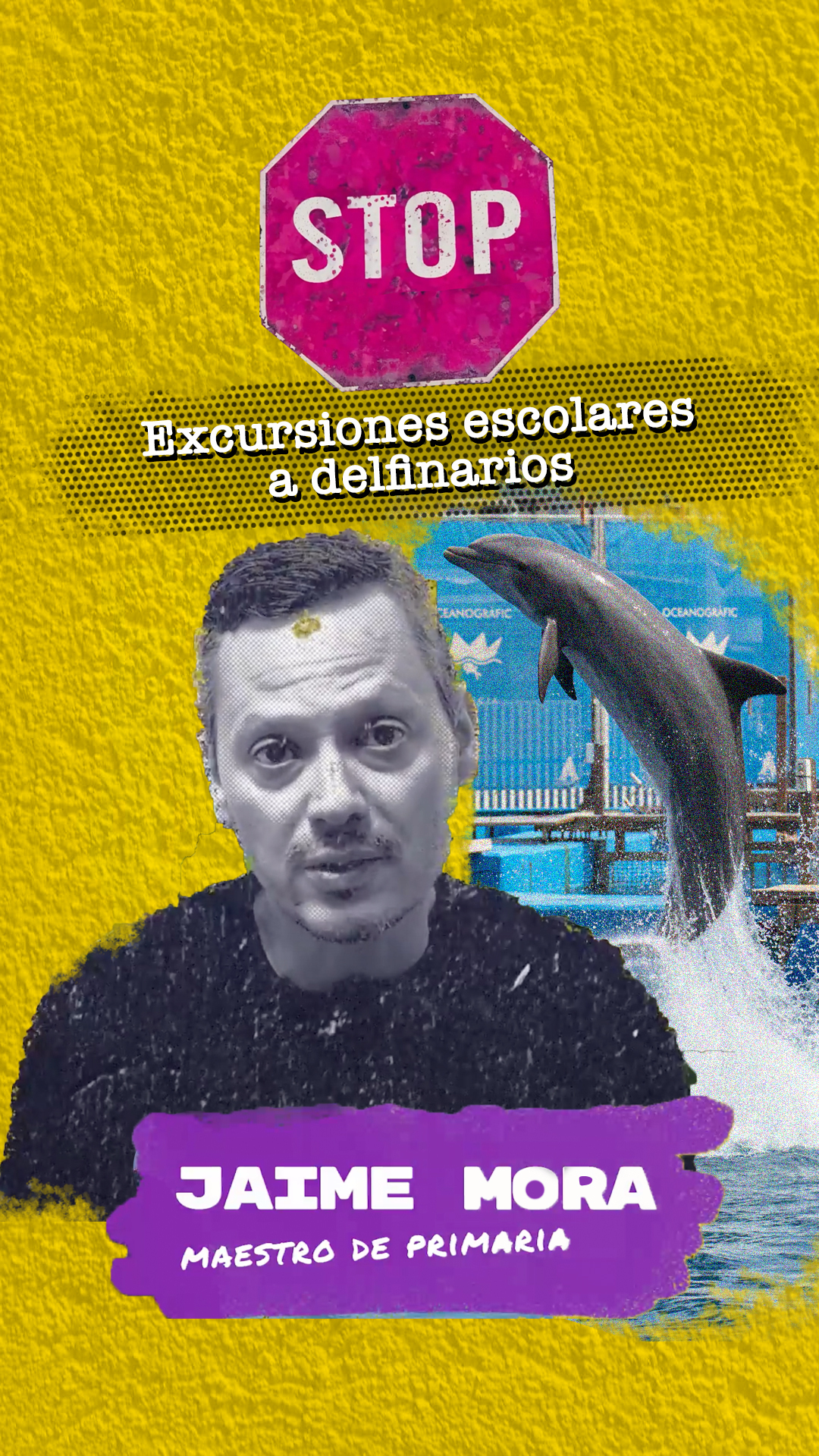 Un maestro valenciano se rebela contra las excursiones escolares a delfinarios