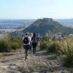 Alicante: “Senderos de Primavera” te invitan a descubrir la ciudad en flor
