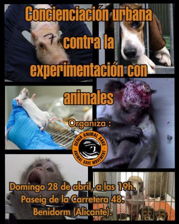 ¡No más sufrimiento animal! Alza tu voz por los animales de laboratorio el 28 de abril