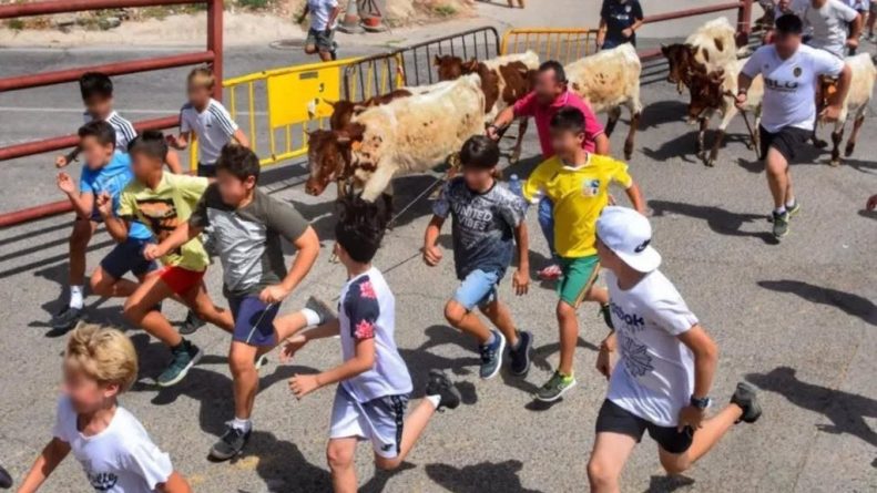 PACMA alerta del aumento de encierros infantiles con animales