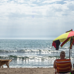 Las playas en Alicante donde los perros son bienvenidos