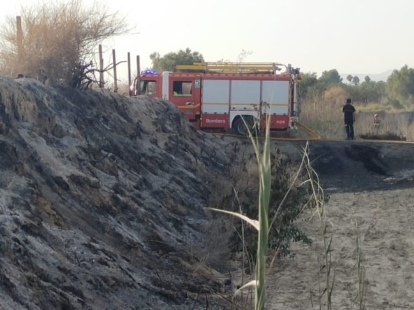 Detalles del Operativo: Cuerpos de Emergencia en Acción