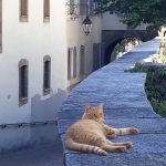 Estás fuera de casa, las vacaciones por fin