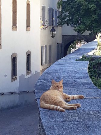 Estás fuera de casa, las vacaciones por fin