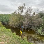 Elche recibe ayuda de la Diputación de Alicante para combatir plagas de mosquitos y moscas negras