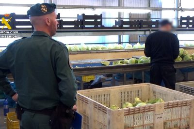 Desarticulado un grupo criminal que vendió dos millones de kilos de frutas y verduras como productos ecológicos