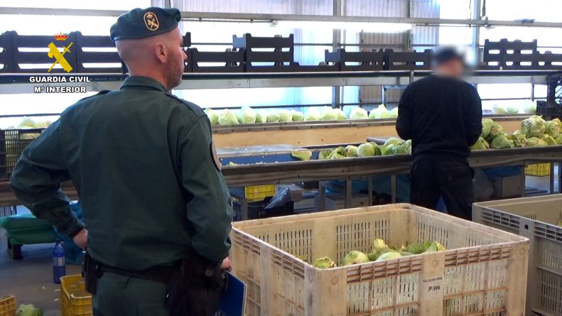 Desarticulado un grupo criminal que vendió dos millones de kilos de frutas y verduras como productos ecológicos