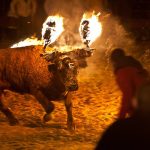 Nuevo verano negro de maltrato animal en las diversiones humanas