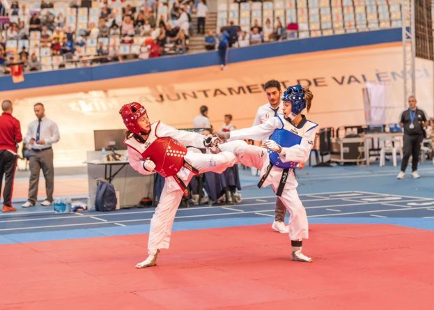 El XII Open de Taekwondo 