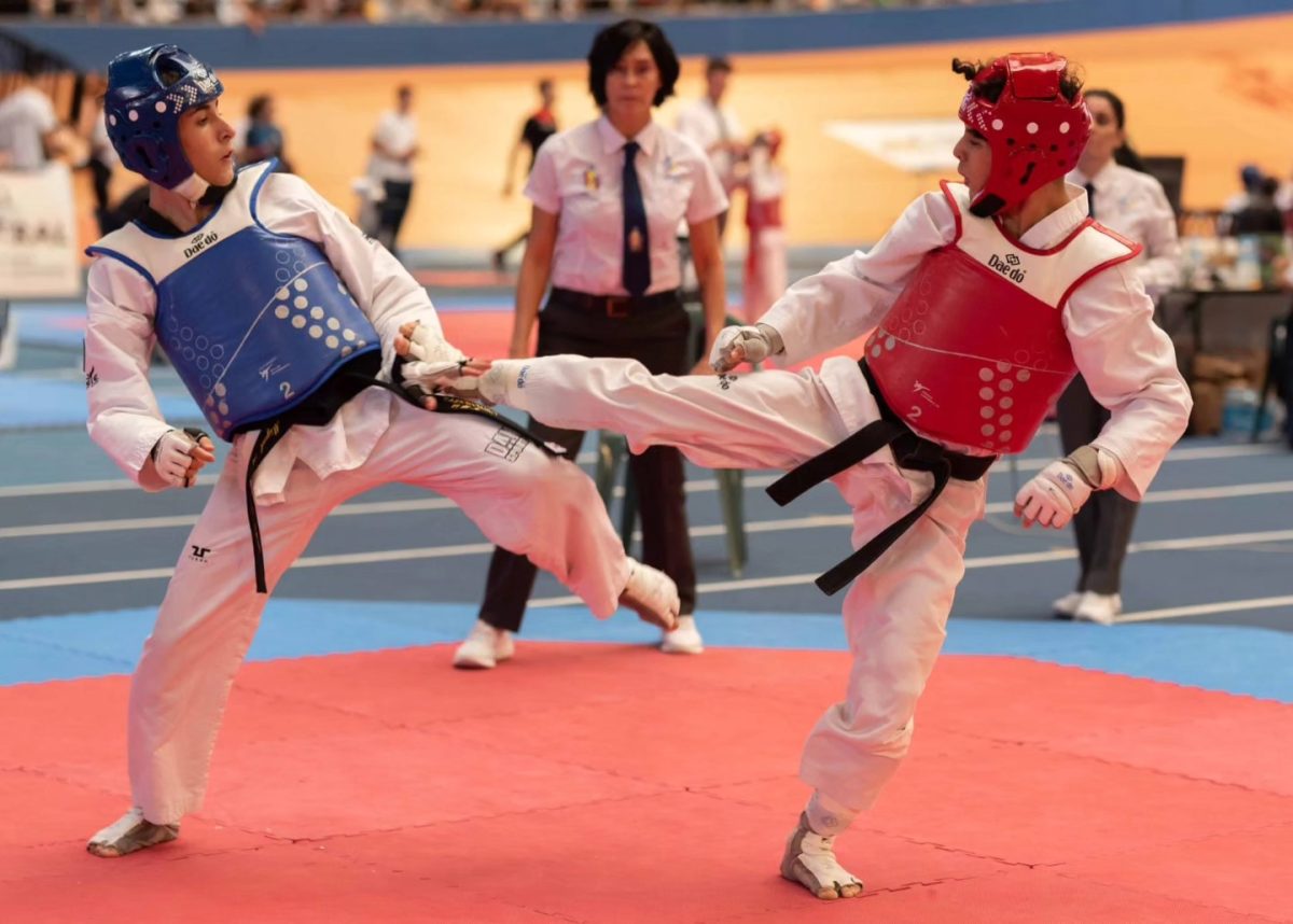 XII Open de Taekwondo 