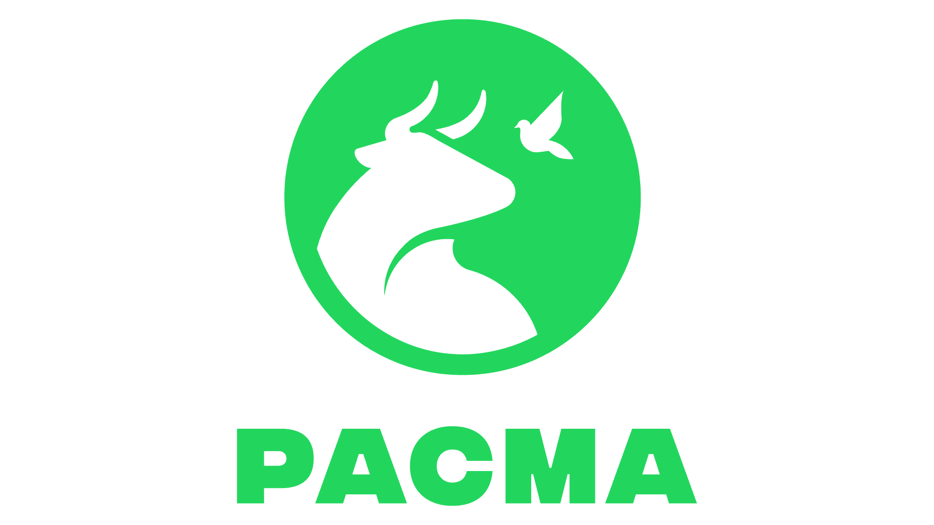 PACMA propone una campaña contra el abandono y por el fomento de la adopción de perros a la RFEF