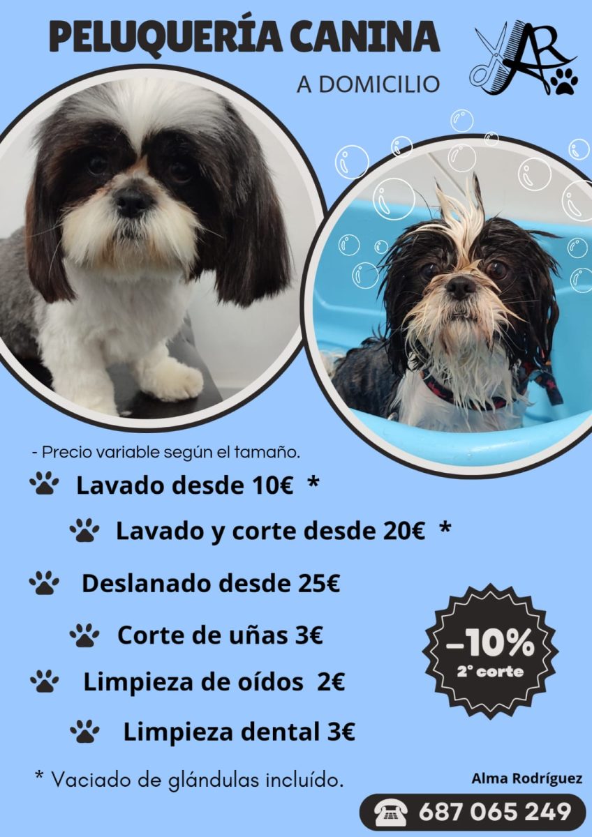 Peluquería Canina en Alicante