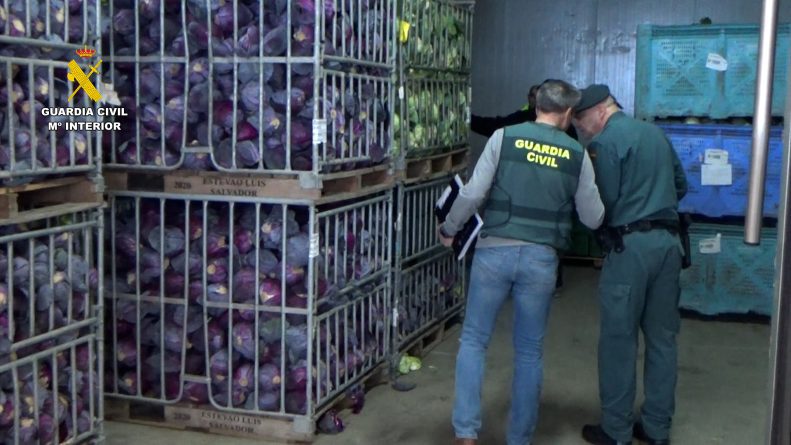 grupo criminal que vendió dos millones de kilos de frutas y verduras