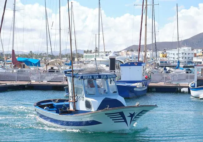 CONTIGO Fuerteventura insta al Cabildo de Fuerteventura en avanzar la cumplimentación de medidas de apoyo al sector pesquero de La isla.