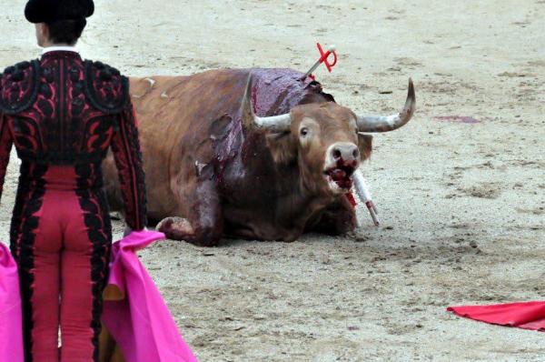 Concentración antitaurina por la corrida de toros del 9 de octubre,