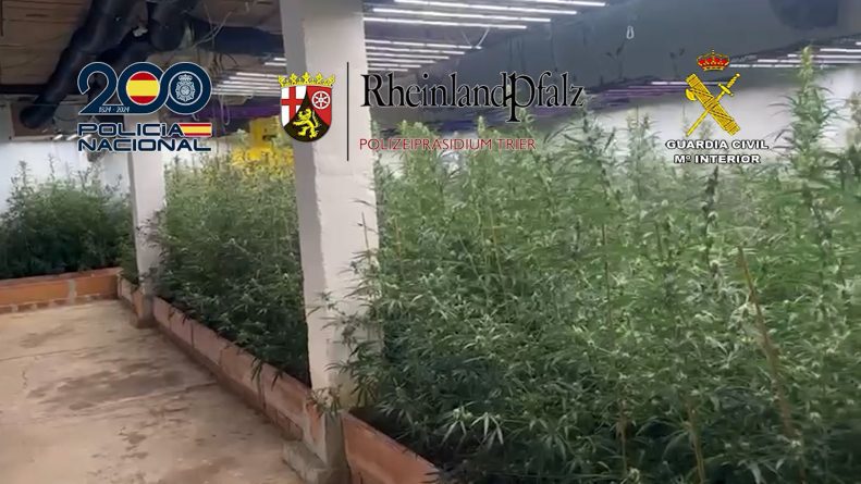 Detenidas 12 personas dedicadas al tráfico de anfetaminas, marihuana y hachís entre España y Alemania