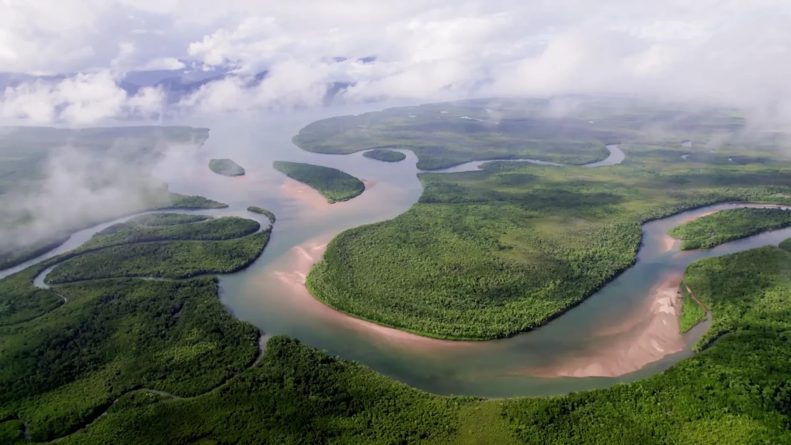 El Amazonas peruano, el origen del pulmón del planeta