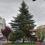 UCIN ALBACETE propone Iluminación navideña de enorme árbol en esta glorieta en beneficio de todos