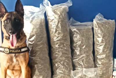 Un perro de la Policía Local de Alicante frustra el envío de 4,2 kilos de marihuana a Rumanía