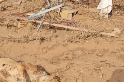 Indignación en redes tras hallarse en el cauce de un barranco una rehala de perros arrasada por la DANA