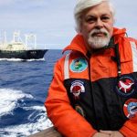 PACMA insta a Pedro Sánchez a apoyar el asilo en Francia del activista Paul Watson, detenido por salvar ballenas en Japón