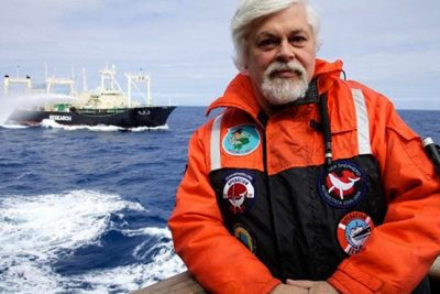 PACMA insta a Pedro Sánchez a apoyar el asilo en Francia del activista Paul Watson, detenido por salvar ballenas en Japón