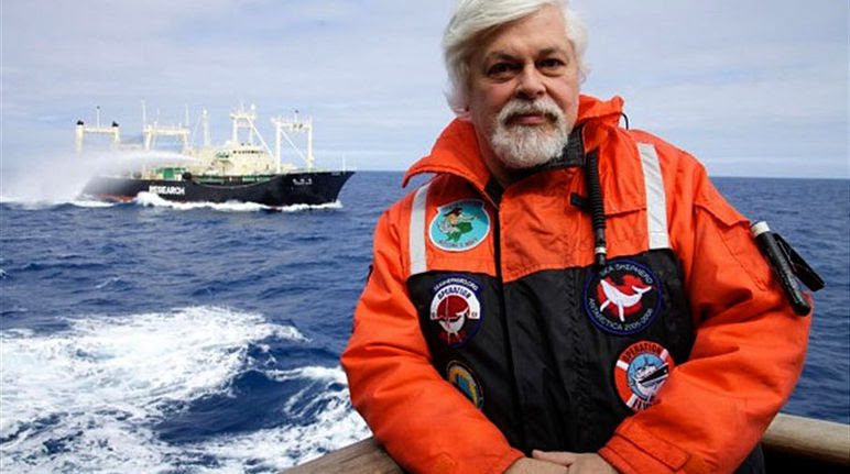 PACMA insta a Pedro Sánchez a apoyar el asilo en Francia del activista Paul Watson, detenido por salvar ballenas en Japón